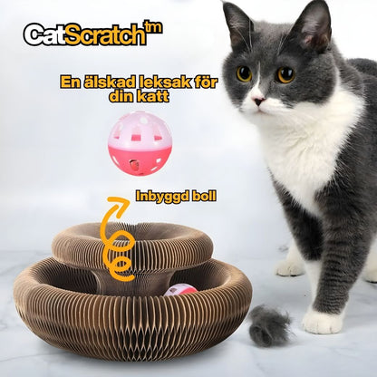 CatScratch™