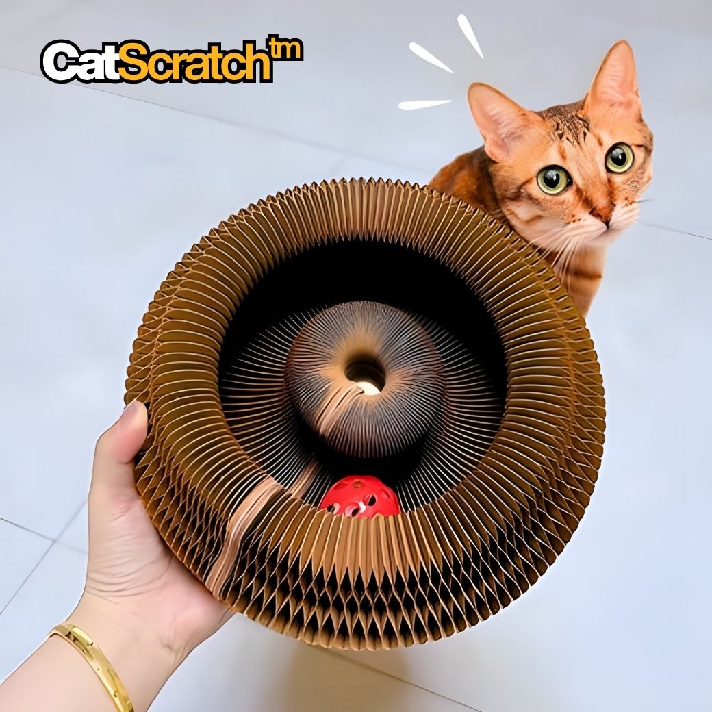 CatScratch™