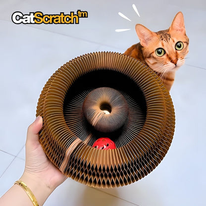 CatScratch™