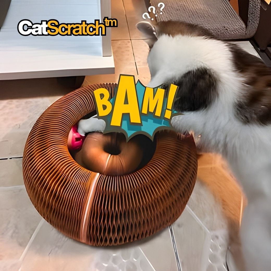 CatScratch™