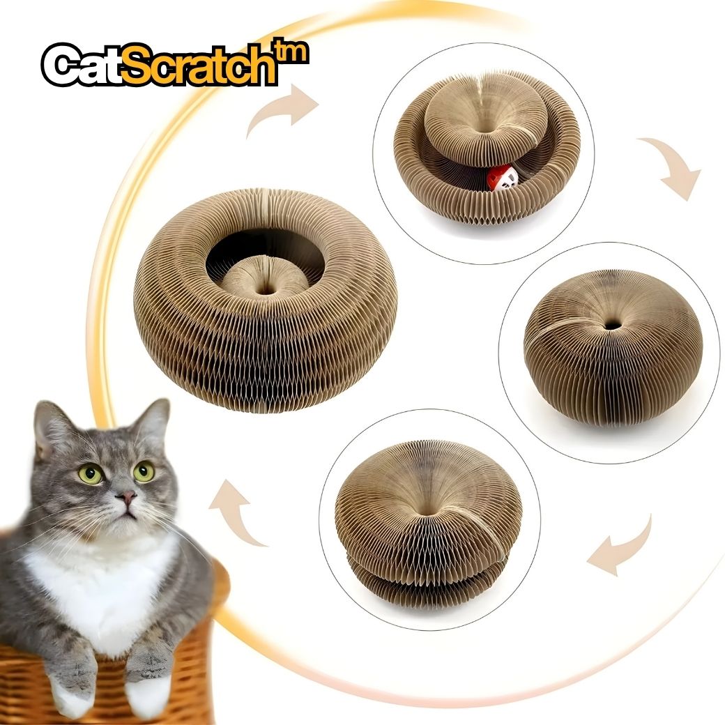 CatScratch™